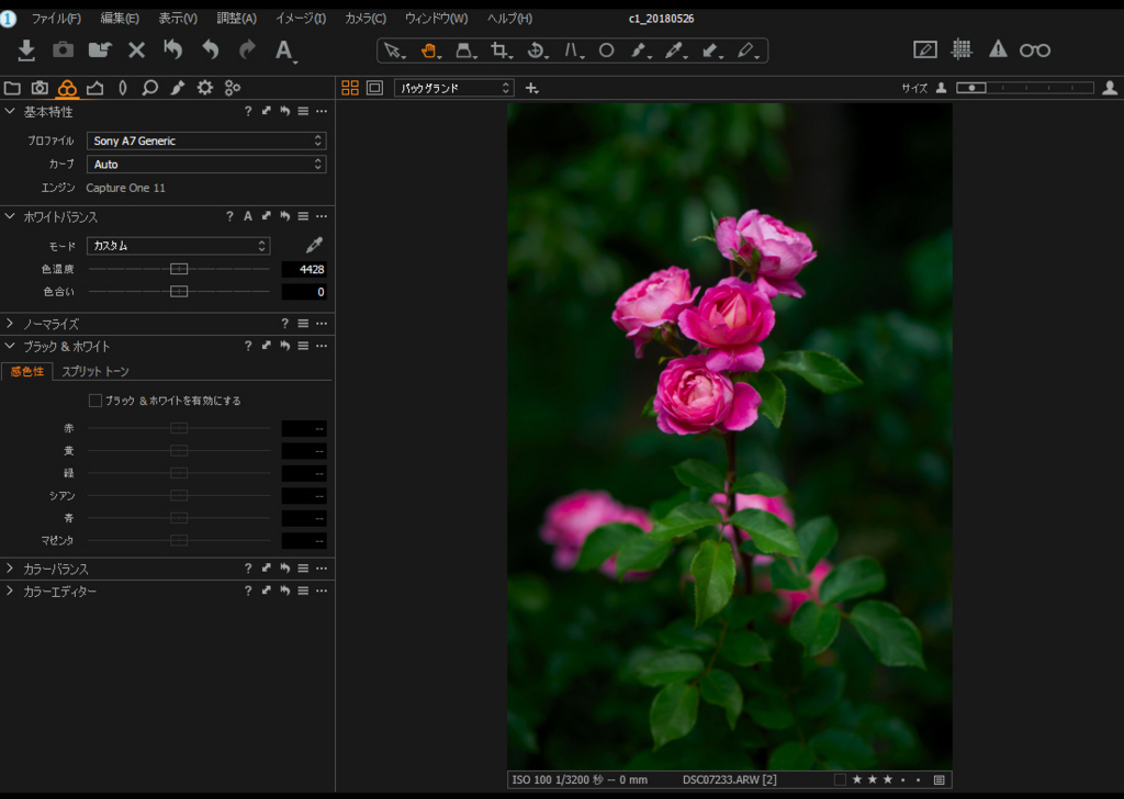 f:id:snopan:20180529210029j:plain
