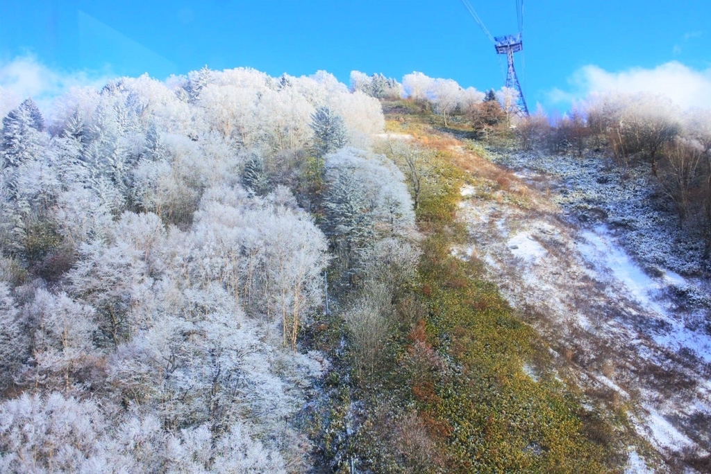 f:id:snow-trekkers-x:20181209211527j:plain f:id:snow-trekkers-x:20181209211527j:plain