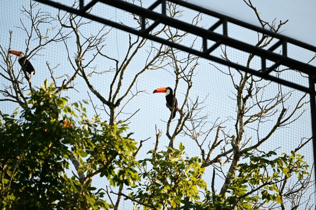 f:id:snow0625:20240630003513j:image f:id:snow0625:20240630003513j:image