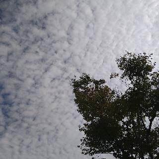 f:id:snow20071015:20201008223841j:image f:id:snow20071015:20201008223841j:image