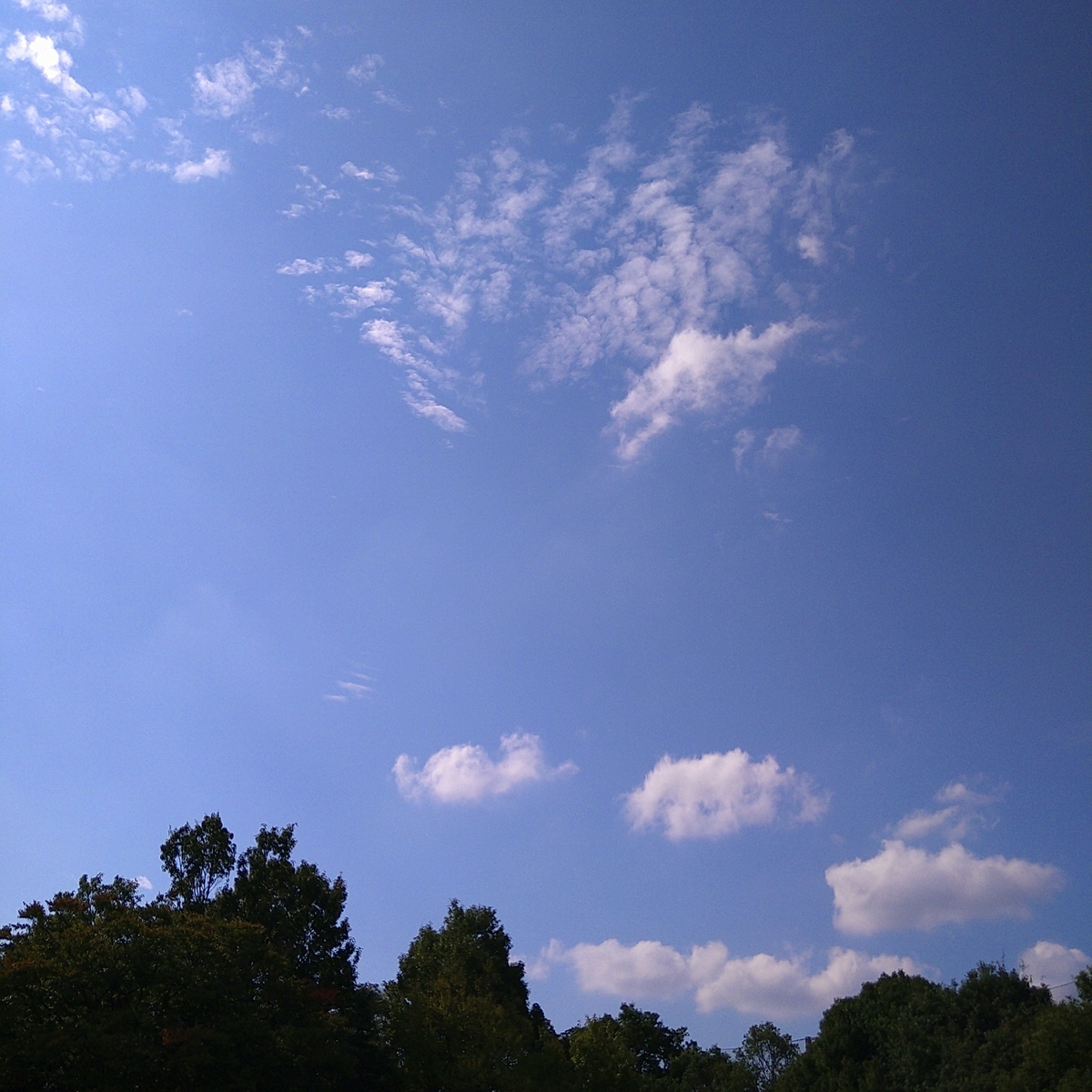 f:id:snow20071015:20201023063850j:plain
