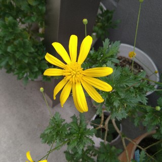 f:id:snow20071015:20201106135934j:image f:id:snow20071015:20201106135934j:image