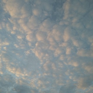 f:id:snow20071015:20201130152113j:image f:id:snow20071015:20201130152113j:image