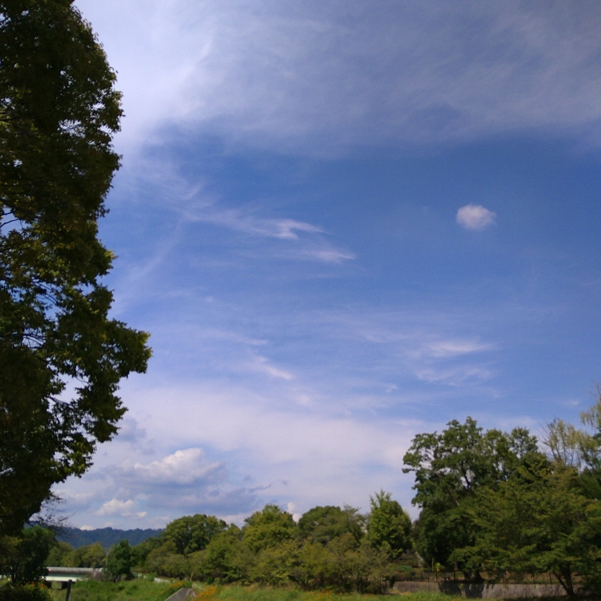 f:id:snow20071015:20210221082733j:plain