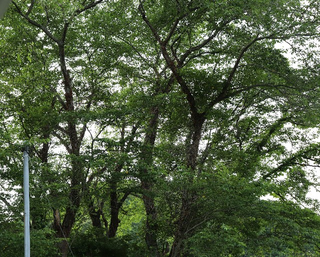 f:id:snow36:20180617174347j:image
