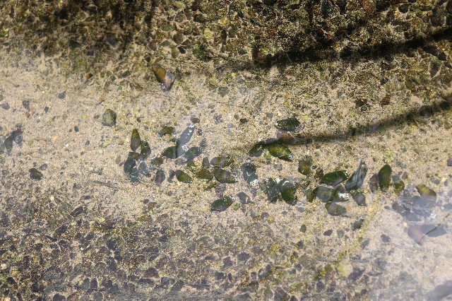 f:id:snow36:20180721123922j:image