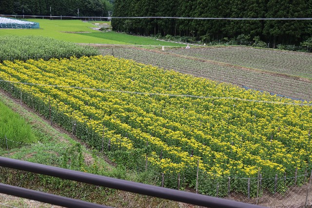 f:id:snow36:20180729184833j:image