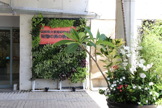 f:id:snow36:20180820170726j:image f:id:snow36:20180820170726j:image