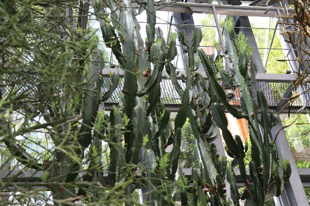 f:id:snow36:20180820174112j:image f:id:snow36:20180820174112j:image