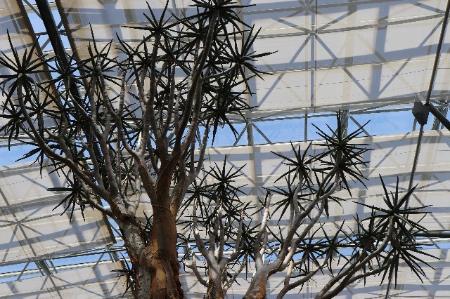 f:id:snow36:20180820174134j:image f:id:snow36:20180820174134j:image