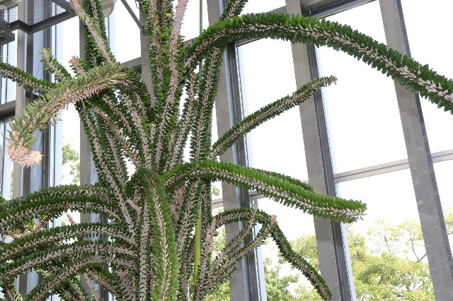 f:id:snow36:20180820174225j:image f:id:snow36:20180820174225j:image