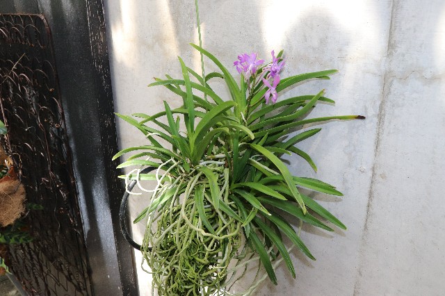 f:id:snow36:20180820174249j:image f:id:snow36:20180820174249j:image