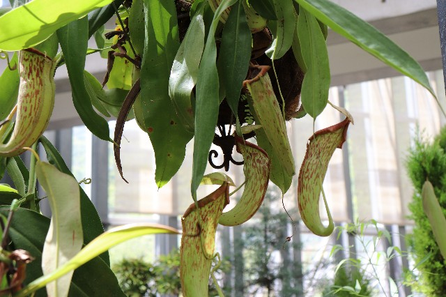 f:id:snow36:20180820175727j:image f:id:snow36:20180820175727j:image