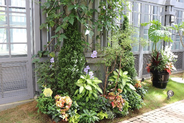 f:id:snow36:20180820182904j:image f:id:snow36:20180820182904j:image