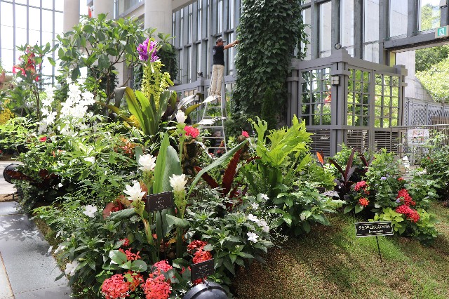 f:id:snow36:20180820182958j:image f:id:snow36:20180820182958j:image