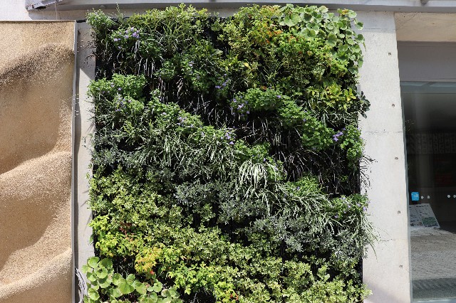 f:id:snow36:20180820195456j:image f:id:snow36:20180820195456j:image