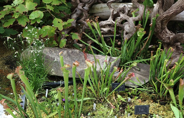 f:id:snow36:20180820210300j:image f:id:snow36:20180820210300j:image