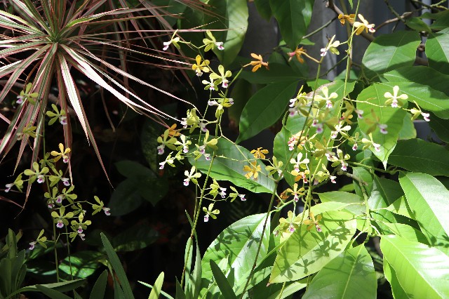 f:id:snow36:20180821090710j:image f:id:snow36:20180821090710j:image