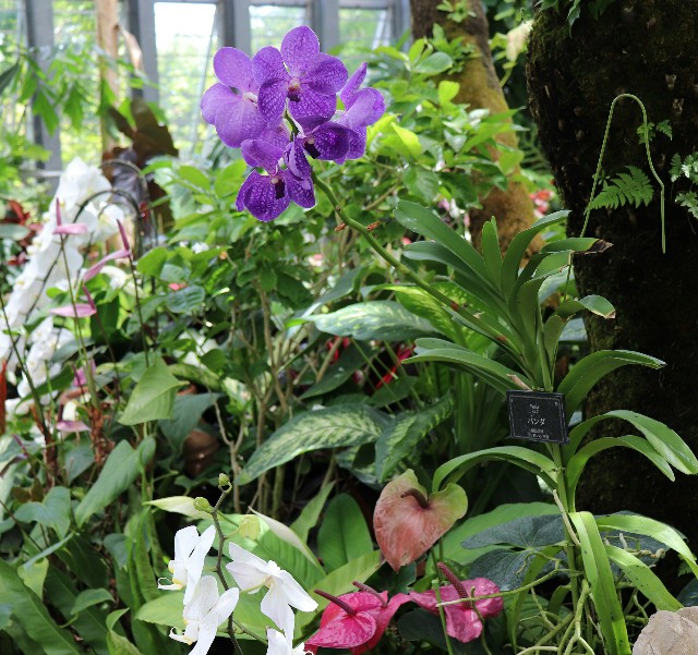 f:id:snow36:20180823070345j:image f:id:snow36:20180823070345j:image