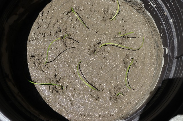 f:id:snow36:20180823195934j:image