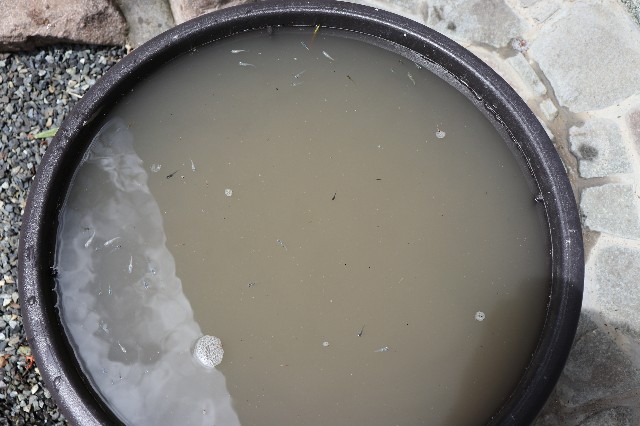 f:id:snow36:20180823200118j:image