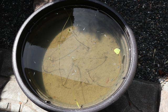 f:id:snow36:20180823201135j:image