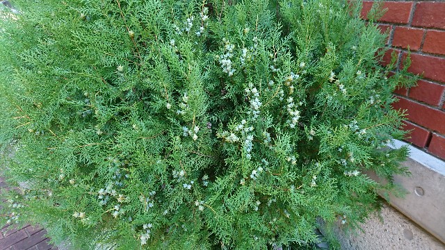 f:id:snow36:20181006093957j:image