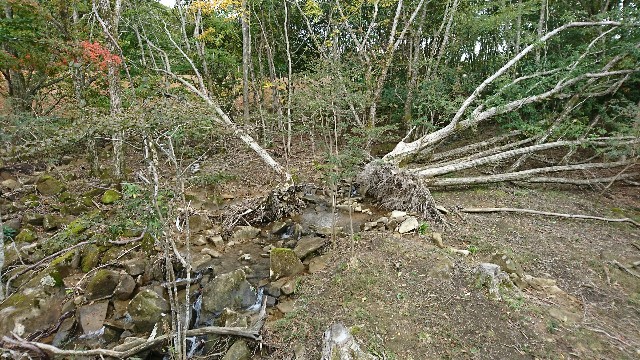 f:id:snow36:20181016124557j:image