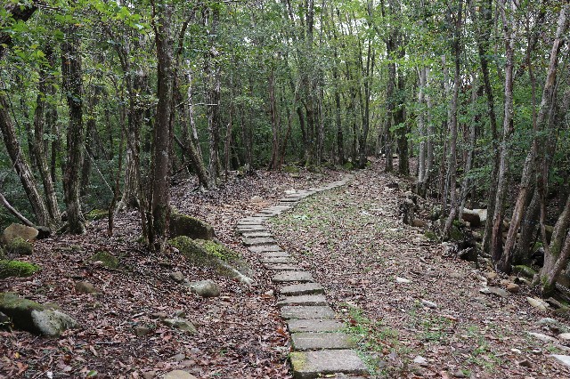 f:id:snow36:20181016131410j:image