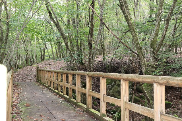 f:id:snow36:20181016132024j:image