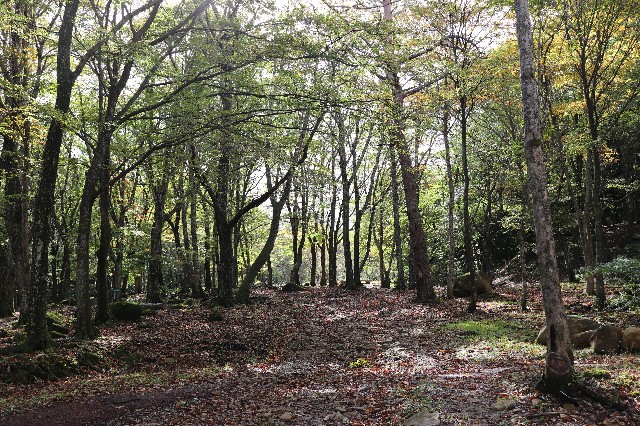 f:id:snow36:20181016132041j:image