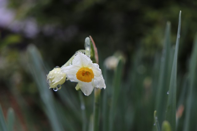 f:id:snow36:20181212233347j:image f:id:snow36:20181212233347j:image