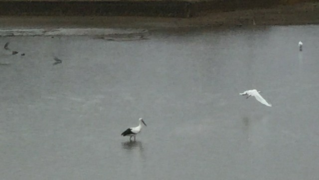 f:id:snow36:20181229003251j:image f:id:snow36:20181229003251j:image