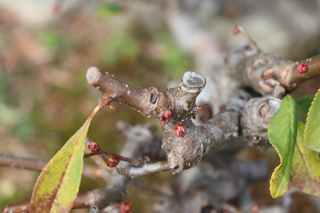 f:id:snow36:20190212223152j:image f:id:snow36:20190212223152j:image