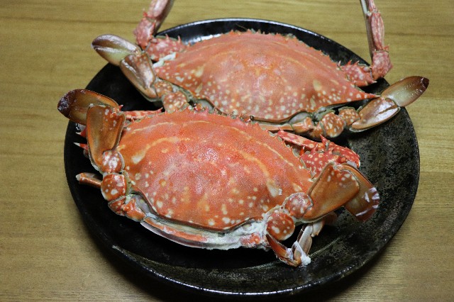 f:id:snow36:20190219213800j:image