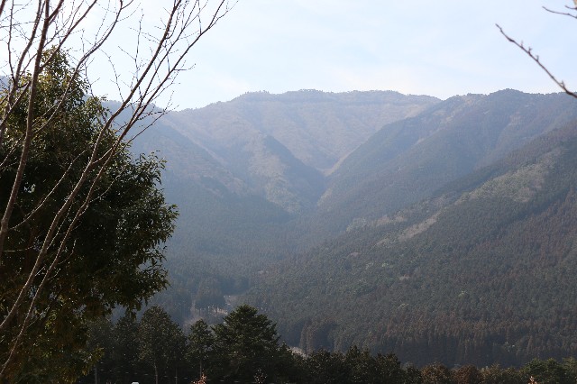 f:id:snow36:20190305135150j:image