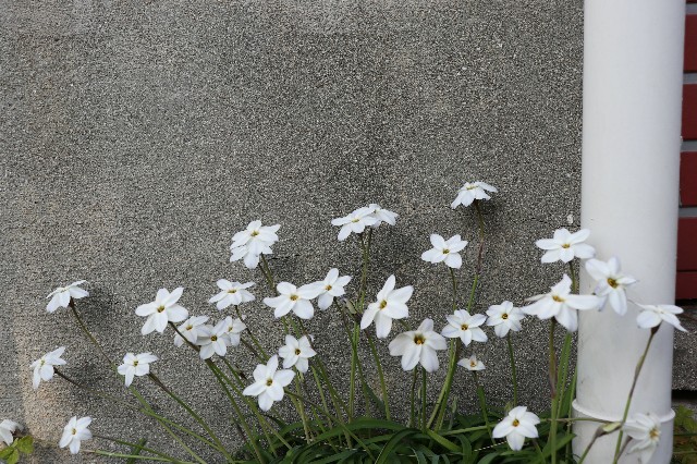 f:id:snow36:20190328231237j:image