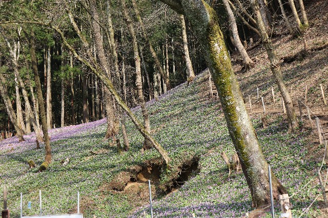 f:id:snow36:20190409222054j:image f:id:snow36:20190409222054j:image