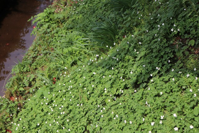 f:id:snow36:20190411203851j:image f:id:snow36:20190411203851j:image