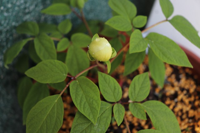 f:id:snow36:20190411204819j:image f:id:snow36:20190411204819j:image