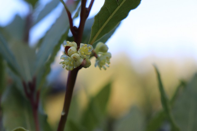 f:id:snow36:20190418143035j:image f:id:snow36:20190418143035j:image