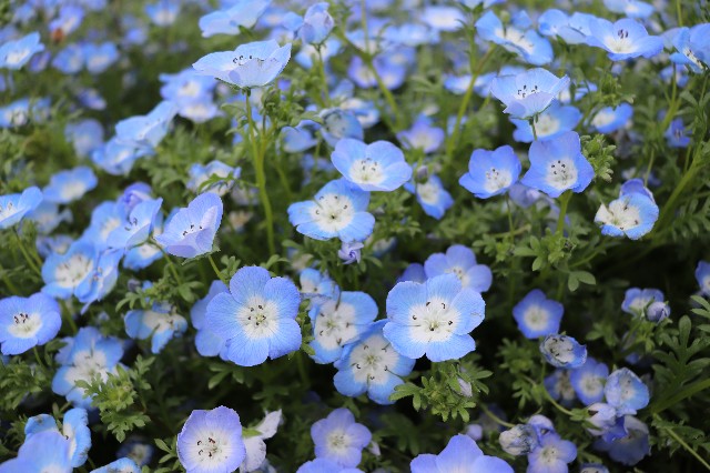 f:id:snow36:20190510021558j:image f:id:snow36:20190510021558j:image