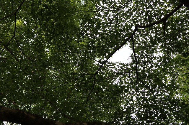 f:id:snow36:20190520220217j:image f:id:snow36:20190520220217j:image