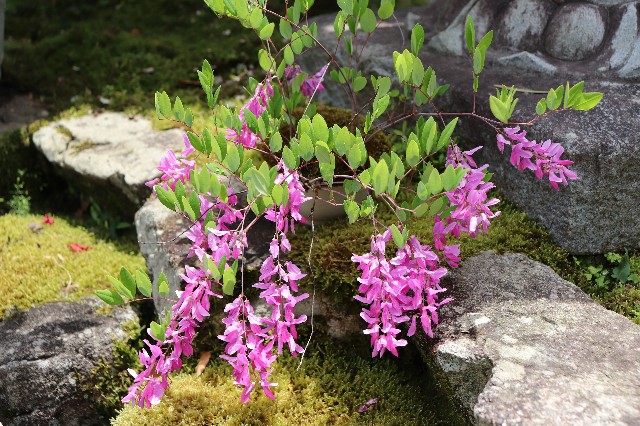 f:id:snow36:20190530154853j:image