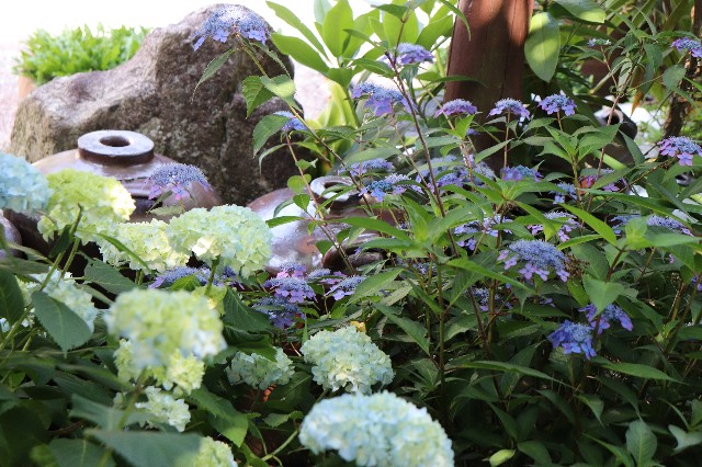 f:id:snow36:20190611221809j:image