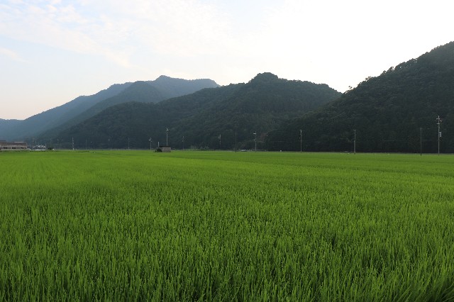 f:id:snow36:20190802175930j:image f:id:snow36:20190802175930j:image