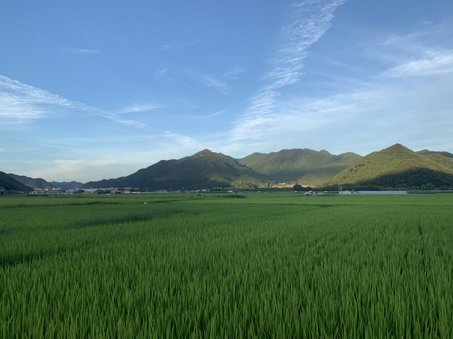 f:id:snow36:20190812190433j:image