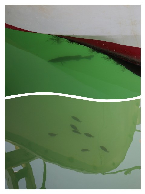 f:id:snow36:20190917235403j:image