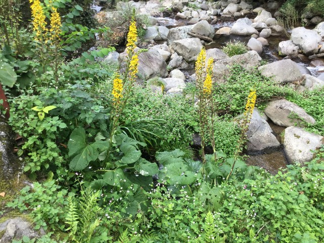 f:id:snow36:20191031201214j:image