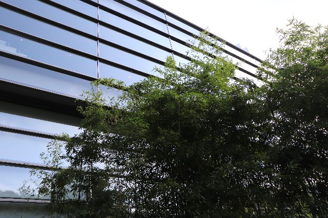 f:id:snow36:20191115210539j:image f:id:snow36:20191115210539j:image